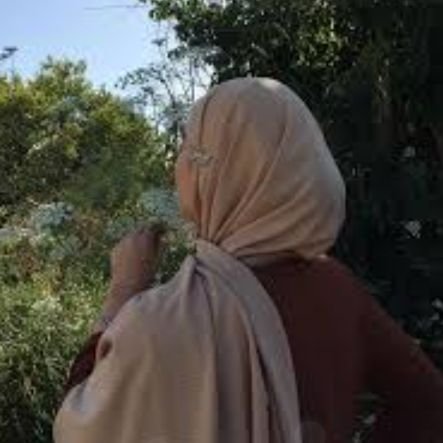 AlamyrhAm50914's profile picture. 