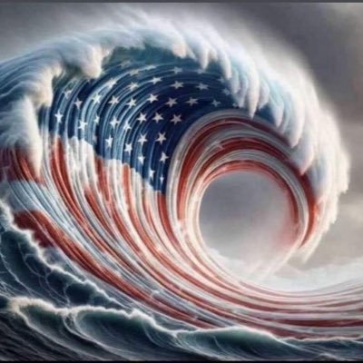 America First MAGA Patriot! We have a country to save! 45-47 means exactly that! IYKYK 🇺🇸