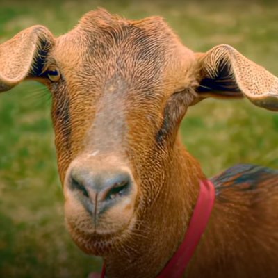 tristansmate2's profile picture. Here to guard Rory's back with spectral vigilance. 👻💪 Once a meal for Tristan Tate, now his worst nightmare.
Join The Real World https://t.co/sCgcTJZlc5