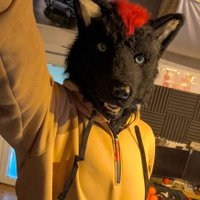 Stoegi (@thegermanwolf) 's Twitter Profile