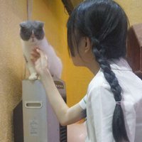Vanessa (@r4jvi31678) 's Twitter Profile