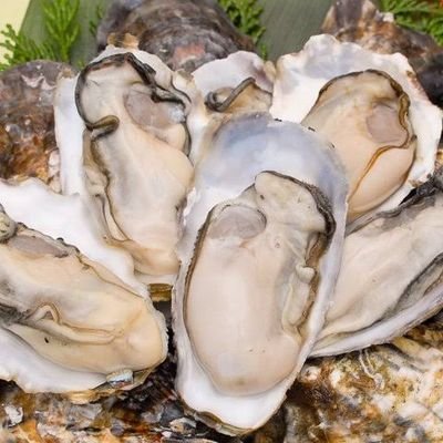 95wv7C3psxiezqY's profile picture. どうも生牡蠣に狂わされてるガキです。
基本クトゥルフと趣味を投げる垢です。