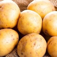κ°μλμ₯μ£Ό (@potato_farmers2) 's Twitter Profile Photo κ°μλμ₯μ£Ό (@potato_farmers2) 's Twitter Profile Photo