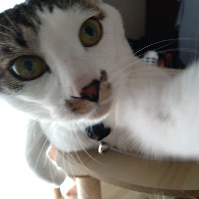 kryptoさんのプロフィール画像