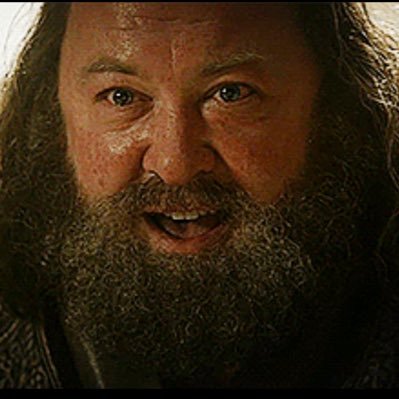 Orlando_Nole's profile picture. Born and raised in Florida. FSU fan and MAGA fanatic.