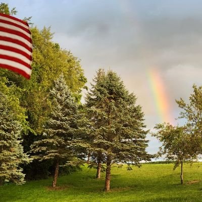 markctwo's profile picture. 🇺🇸 1st Conservative 🇺🇲 
❤️  Life begins @ conception ❤️
Life, liberty, and the pursuit of happiness.Unspoiled by over governance.