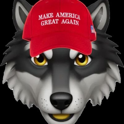 🐺 #TRUMP2028 / #America1st 🇺🇸 / #2A 🔫 / PRO-LIFE 👶GOD LOVING, BELIEVER IN JESUS ✝️
🇺🇸 #MAGA 🇺🇸 #IStandWithTRUMP
🇺🇸 IFBP / AMERICAN PATRIOT 🇺🇸