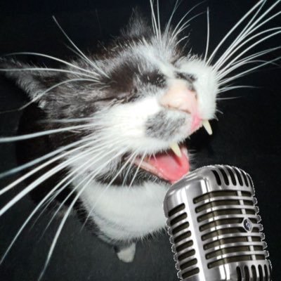 102wiz's profile picture. 0% 확률도 이겨냈으니까