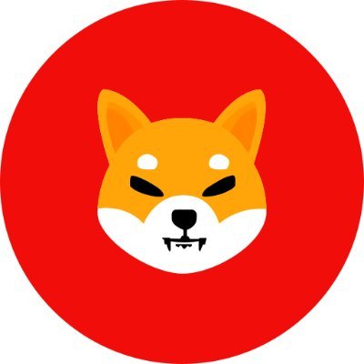 vibecoder01's profile picture. 