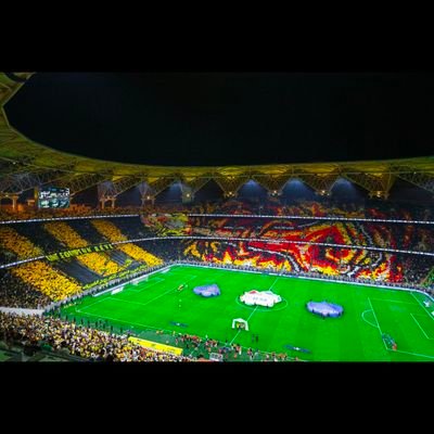 abdarhm204's profile picture. 