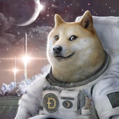 lildullaB's profile picture. 🐐