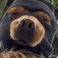 bhigjohnfgs (@bhigjayfgs) 's Twitter Profile