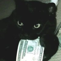 Batuhan 🔺 (@phormath) 's Twitter Profile Photo