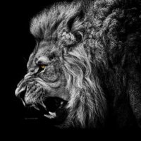 الوافي (@alwafi1966_) 's Twitter Profile Photo الوافي (@alwafi1966_) 's Twitter Profile Photo