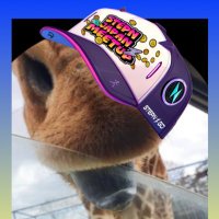きりん🦒Qilin 키린 🆕 (@qilin_move) 's Twitter Profile Photo きりん🦒Qilin 키린 🆕 (@qilin_move) 's Twitter Profile Photo