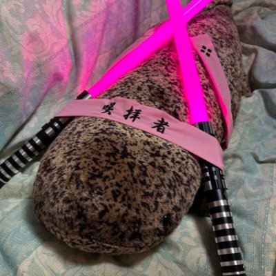 🦊🌸Sakajo.さんのプロフィール画像