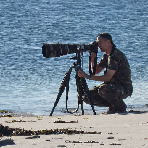 Bird, wildlife and landscape photography of Richard Stonier