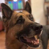 Brian Mahoney (@justbooter) 's Twitter Profile