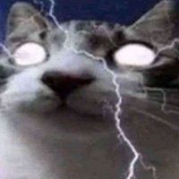 Mack | SANDRIPPER (@mackiepalmer_) 's Twitter Profile Photo Mack | SANDRIPPER (@mackiepalmer_) 's Twitter Profile Photo