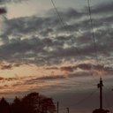 Sally Grainger - @SallyGrain31409 - Twitter