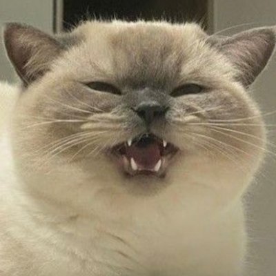 ChCl_rinox's profile picture. coucou