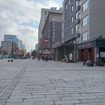 IDSAravt's profile picture. 