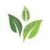 مدرسة نور الدين السالمي (@noor_d_s_school) Twitter profile photo مدرسة نور الدين السالمي (@noor_d_s_school) Twitter profile photo