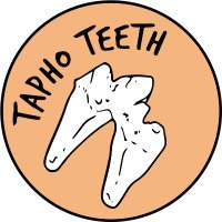 Taphoteeth (@taphoteeth) 's Twitter Profile Photo Taphoteeth (@taphoteeth) 's Twitter Profile Photo