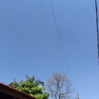 Indri (@floweriiyy) 's Twitter Profile Photo