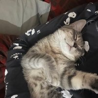 conchi (@coonchilopeez) 's Twitter Profile