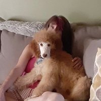 DEBBIE Salt Lake🌊 TRUMP & MUSK ARE CROOKS🇺🇸 (@debbiesaltlake) 's Twitter Profile
