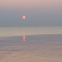 Phyllis Sommer (@imabima) 's Twitter Profile
