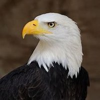 Socialism is Slavery (@michaelb53755) 's Twitter Profile
