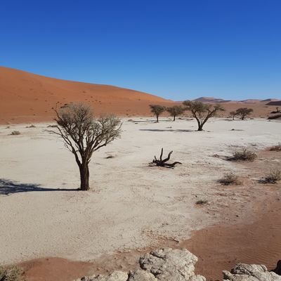 Amaluna50957914's profile picture. « Soyez comme l'arbre, changez vos feuilles, mais jamais vos racines. Vous pouvez changer vos opinions, mais jamais vos principes. »