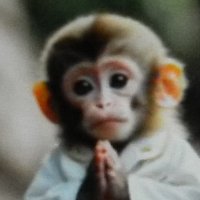 Kurious George (@georgegrapp) 's Twitter Profile