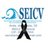 SEICV_oficial