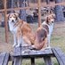 Laurie L (@laurielehr59840) Twitter profile photo Laurie L (@laurielehr59840) Twitter profile photo