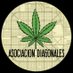 ASOCIACIÓN DIAGONALES (@clubdiagonales) Twitter profile photo ASOCIACIÓN DIAGONALES (@clubdiagonales) Twitter profile photo