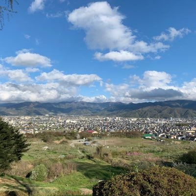 Takos211's profile picture. 乃木坂46→SAKURADOLL