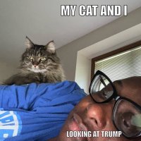 Diedrel (@diedrel) 's Twitter Profile