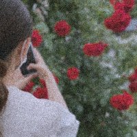 ミオ (@m_hanahoha) 's Twitter Profile