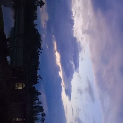 amanaburim's profile picture. Trading like a pro, living like a champ 🏆💪