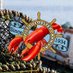 Pictou Lobster Carnival (@plc_julyfun) Twitter profile photo Pictou Lobster Carnival (@plc_julyfun) Twitter profile photo