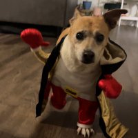 Jono Zalay (@jonozalay) 's Twitter Profile