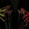 BloodOrCrypto's profile picture. 🗝️