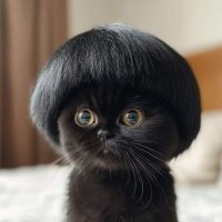 Marie (@marie5456572384) 's Twitter Profile