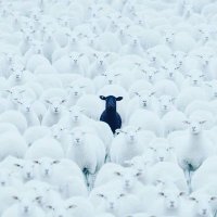 Sameer971 (@sameerbaxter123) 's Twitter Profile Photo