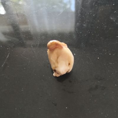 DoudouDomi5861's profile picture. 