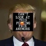 LizaSaldana1's profile picture. Movie & Music junkie. #Human  #ProChoice #MentalHealth #LivingWithCancer #NeverTrump #VOTE☮  #LoveRules 🚫DM 
🚫Maga 💙