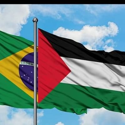 MateusM40012947's profile picture. 